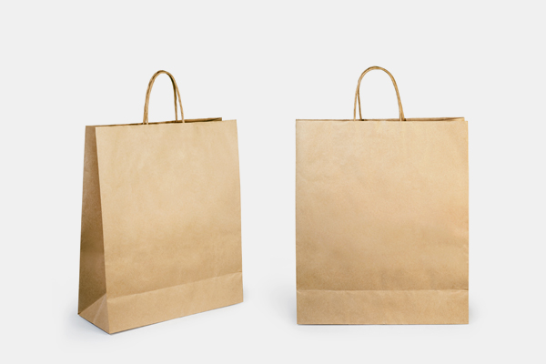Paper bags with twisted handle